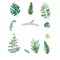 Green Assorted Tropical Leaves WALL STICKER Hanging Leaves Removable PVC Home